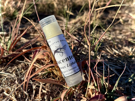 Beeswax Lip Balm
